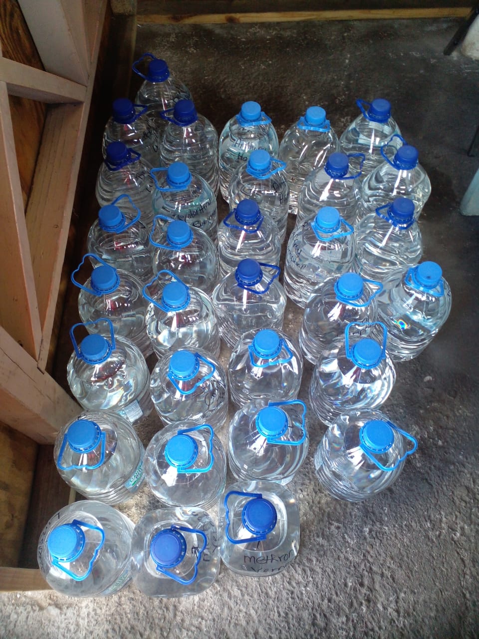 IMG-20260510-WA0098